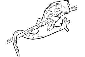 Here's a set of free printable alphabet letter images for you to download and print. Animal Facts Coloring Sheets Long Island Children S Museum