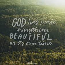 Many of us think the world revolves around us. Your Daily Verse Ecclesiastes 3 11 Your Daily Verse