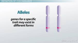 As per the genetic explanation of different physical features of examples of codominance. Codominance Definition Example Video Lesson Transcript Study Com