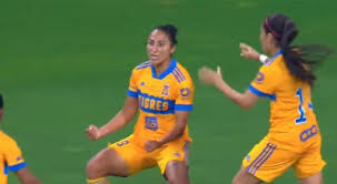 Hallan con vida un gato desaparecido en el colapso. Video Resultado Resumen Y Goles Chivas Vs Tigres 1 2 Final Liga Mx Femenil Clausura 2021