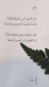 pin by امووونه المزيونه on ابيات شعرية beautiful arabic words arabic quotes wisdom quotes