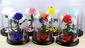 We did not find results for: Large Glass Dome Enchanted Collection My Forever Box
