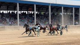 Whiteside County Fair