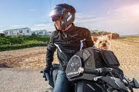 تغذية كتابة خطاب صنف صوفي غير ممكن التفوق trasportino per cani in moto  amazon - plantbasedkitchenadventures.com