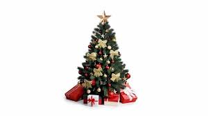 Tidak ada catatan yang spesifik dalam alkitab untuk merayakan natal, ujar pardede. Sejarah Pohon Cemara Dijadikan Simbol Natal Oleh Umat Kristen Tirto Id