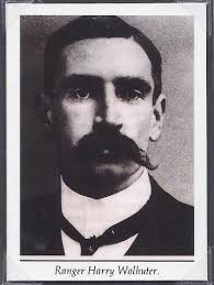 Lion Killer Pops Build