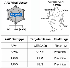 Image result for Black 1996 AAV