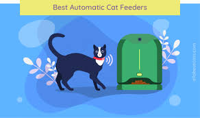 The best automatic cat feeder. The 5 Best Automatic Cat Feeders Of 2021 Unbiased Review We Re All About Cats