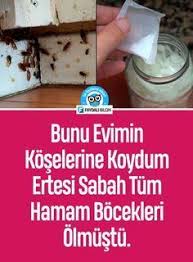 Hamam Boceklerine Ev Yapimi Cozum Kakerlaken Selbstgemacht Neutral