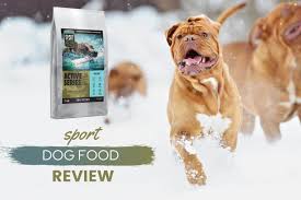 We took key features from our other collars in our line and blended them into one. Sport Dog Food Review The Best Kibble For Active Dogs Canine Bible