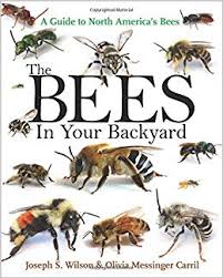 The Bees In Your Backyard A Guide To North Americas Bees