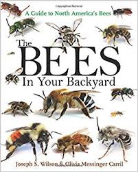 the bees in your backyard a guide to north americas bees