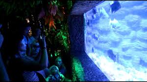 جراند أكواريوم الغردقة أول معرض كائنات بحرية في الشرق الأوسط وأفريقيا Youtube