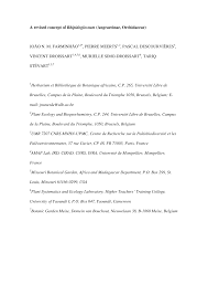 Image result for Rhipidoglossum kamerunense