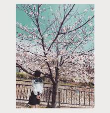 169 2k likes 1 659 comments 浜辺美波 staff minami hamabe official on instagram 思い思われふりふられ 思い思われふりふられ 浜辺 北村匠海