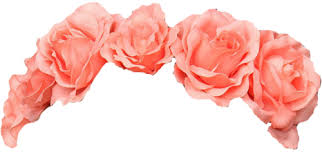 Flower Crown Overlay Floral Stickers Yellow Flower Crown Overlays