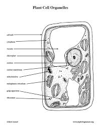 Check spelling or type a new query. Plant Cell Labeled Coloring Page