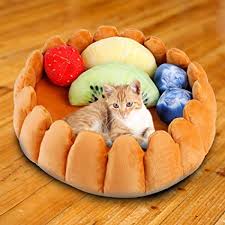 12 pet beds you'll love almost as much as your cat does. Cat Nests Warm And Durable Cat Pet Bed Fruit Tart Cat Bed Cave Cat Dog Warm Nests House For Your Favorite Pet Amazon Ca Pet Supplies