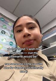 Ideas De Nombre De Usuarios Sandra