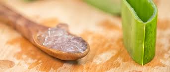 Sigue leyendo y toma nota. Las Propiedades De La Sabila Para El Cabello Bekia Belleza