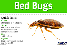 it s bed bug awareness week massey services inc
