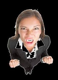 The Boca Raton Tribune