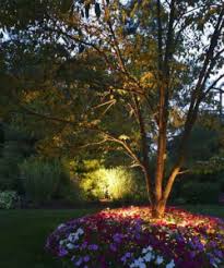 Uplighting Vs Downlighting Choose The Right Landscape Lighting Neave Group