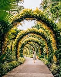 Not to mention, it does not charge admission fee except for the national orchid garden. Why You Should Visit The Singapore Botanic Gardens Travel In Our Eyes Singapore Garden Singapore Botanic Gardens Landscape Design