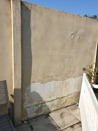 We did not find results for: Comment Renover Un Mur Exterieur Dont L Enduit S Ecaille Et Tombe