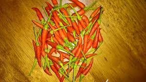 Tadi sempat lah jumpa seorang sahabat yang tanam tomato kat rumah dia, geram sungguh tengok dia punya buah tomato, macam. Pembekal Lada Putih Tambunan Cili Padi Bara Memang Pedas Membara Harga Cili Sangat Mahal Sekarang Harga Terkini Di Pasar Wongkok Kota Kinabalu Adalah Rm30 Kg Facebook