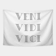 Veni Vidi Vici I Came I Saw I Conquered Veni Vidi Vici Tapestry Teepublic