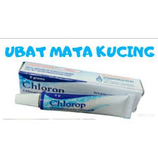 Kucing yang hilang selera makan atau tanak makan langsung pun boleh diberikan air rebusan rumput ni. Ready Stock Ubat Sakit Mata Kucing 5g Shopee Malaysia