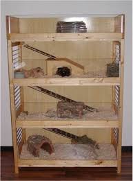 Fertiger Meerschweinchen Eigenbau Aus Einem Holzregal Meerschweinchenstall Meerschweinchen Meerschweinchen Gehege