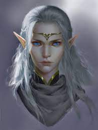 Pin By Amanda Nail On Fantasia Kay Elves Fantasy Character Portraits Elf Characters