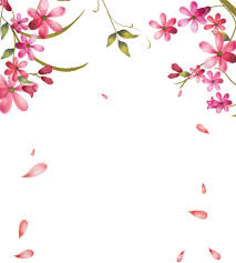 Check spelling or type a new query. Rose In Png Per La Tua Grafica Fiori Cornici E Composizioni Floreali Per Photoshop E Psp