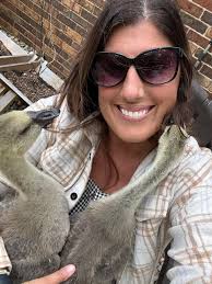 Should I stop my baby geese from chewing