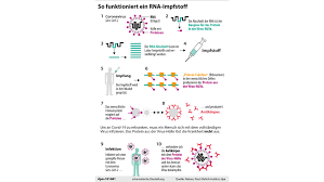 Maybe you would like to learn more about one of these? Rna Impfstoffe Funktion Risiken Und Unterschied Zu Anderen Impfstoffarten Chip