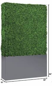 Hedge Wall Rental Epicpartyteam Com Phoenix Az 800 x 479 png 721 кб. hedge wall rental epicpartyteam com