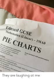 Edexcel Gcse Mathematics Linear 1ma0 Pie Charts Items