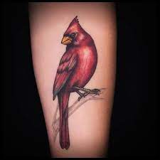 Check spelling or type a new query. Cardinal Bird Tattoo Color Realism By Dsd Done Tattoo Nouveau Lake Orion Mi Red Bird Tattoos Cardinal Bird Tattoos Bird Shoulder Tattoos