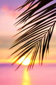 Pink Sunset Gold Sunset Beautiful Sunset Beach