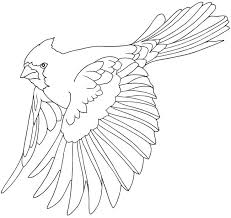 Simply do online coloring for cardinal bird house coloring page directly from your gadget, support for ipad, android tab or using our web feature. Welcome To Dover Publications Bird Drawings Bird Coloring Pages Drawings