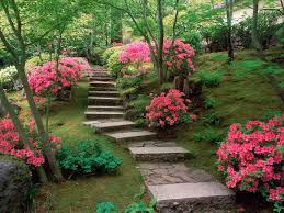 Check spelling or type a new query. Garden Wallpapers Top Free Garden Backgrounds Wallpaperaccess