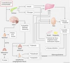Liegt er höher, muss die medikation angepasst werden. Hypoglykamie Die Unterschatze Gefahr Bei Diabetes Mellitus