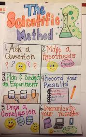 scientific method anchor chat first grade science second