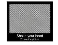 Image result for illusion pictures