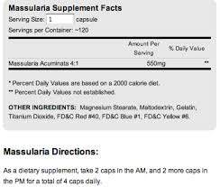 Image result for Massularia