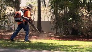 How to choose a quiet leaf blower: Noisy Leaf Blowers Disturb Peace And Everyone Within Earshot Miami Herald