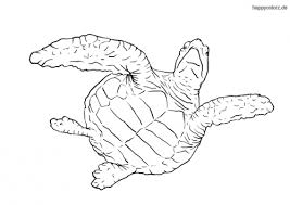 Schildkröte malvorlage kostenlos für kinder, schildkröte ausmalbild zum ausdrucken, kostenlose vorlagen zum ausmalen, zoo malbuch online, schildkröte search results malvorlage schildkröte ausmalbild 19635 malvorlage schildkröte bilder für schule und unterricht. Schildkrote Malvorlage Kostenlos Schildkroten Ausmalbilder