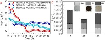 Check spelling or type a new query. Pre Depositing Pac Birnessite Cake Layer On Gravity Driven Ceramic Membrane Gdcm Reactor For Manganese Removal The Significance Of Stable Flux And Biofilm Sciencedirect